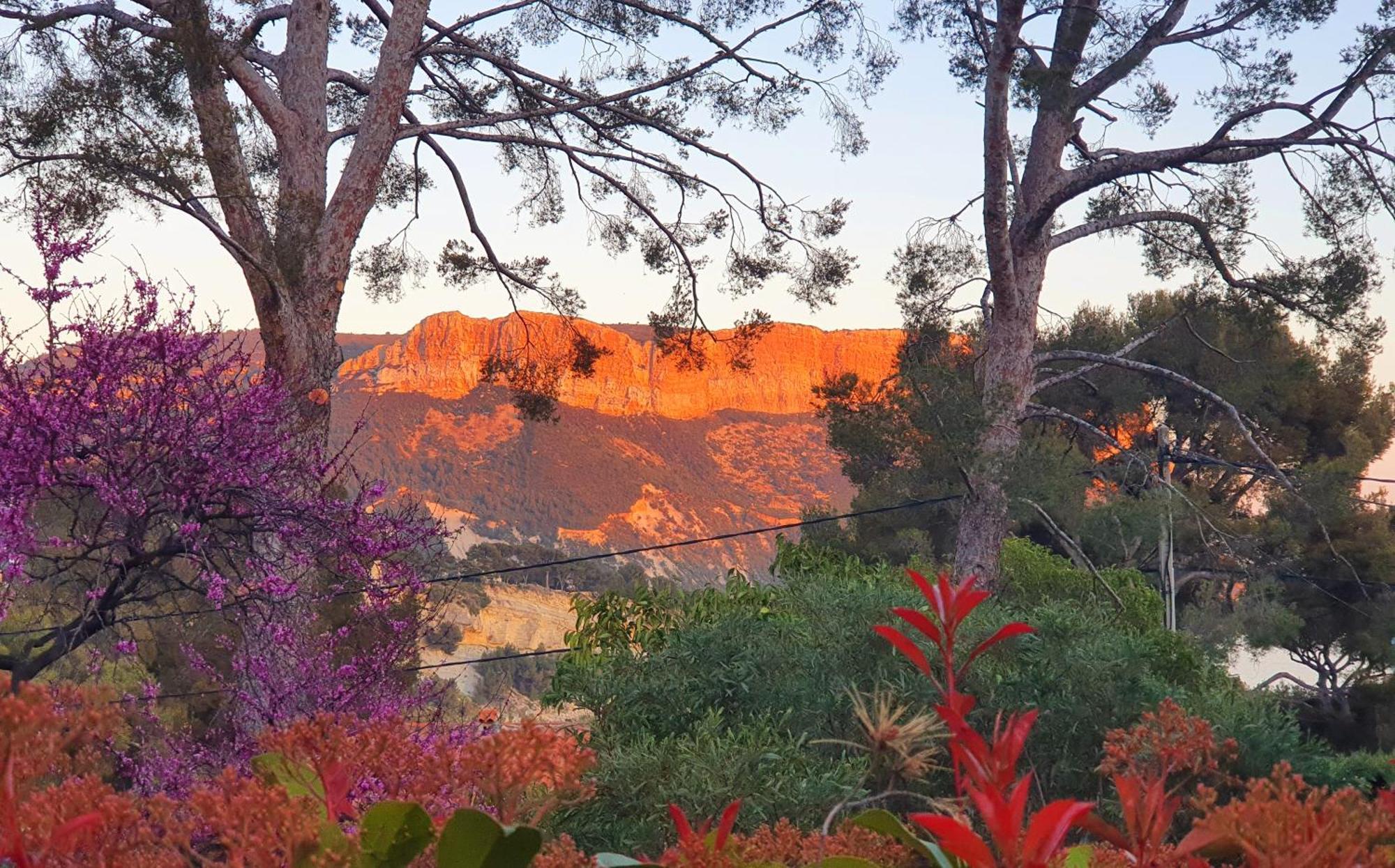 T3 avec jardin dans Villa Rocaille Cassis Extérieur photo